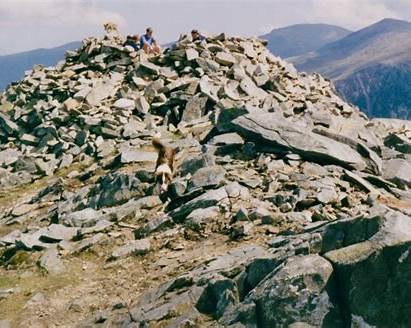 Elidir Fawr - View 2